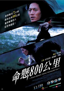 命悬800公里